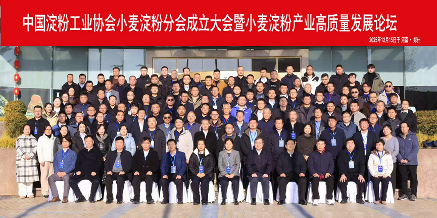 1766369019330453.png image.png