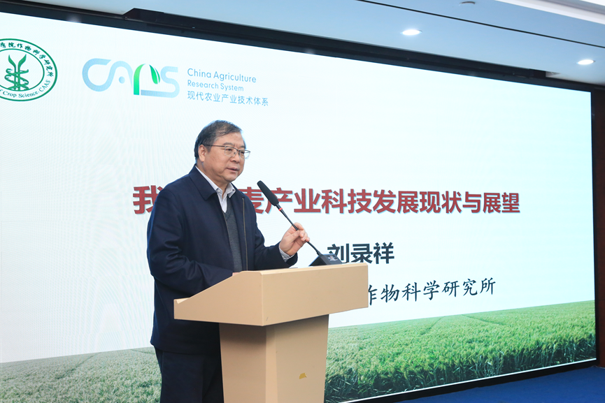 1766369331572369.png image.png